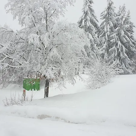 Traumurlaub Im Bayerische Wald Sankt Englmar Exterior photo