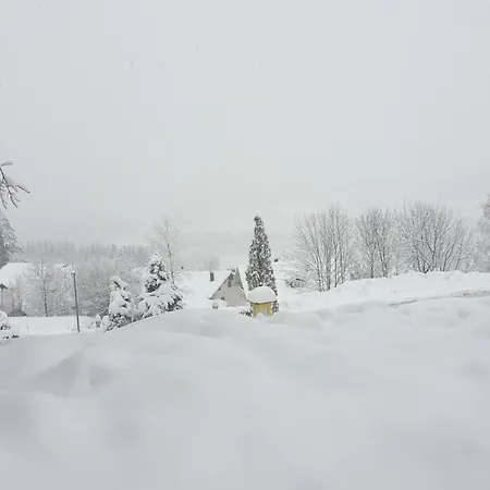 Traumurlaub Im Bayerische Wald Sankt Englmar Exterior photo