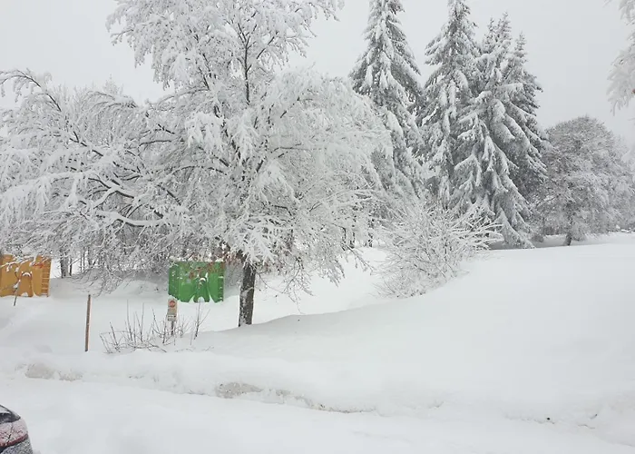 Traumurlaub Im Bayerische Wald