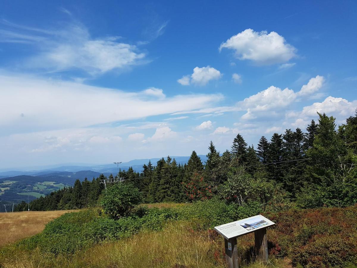 Traumurlaub Im Bayerische Wald *