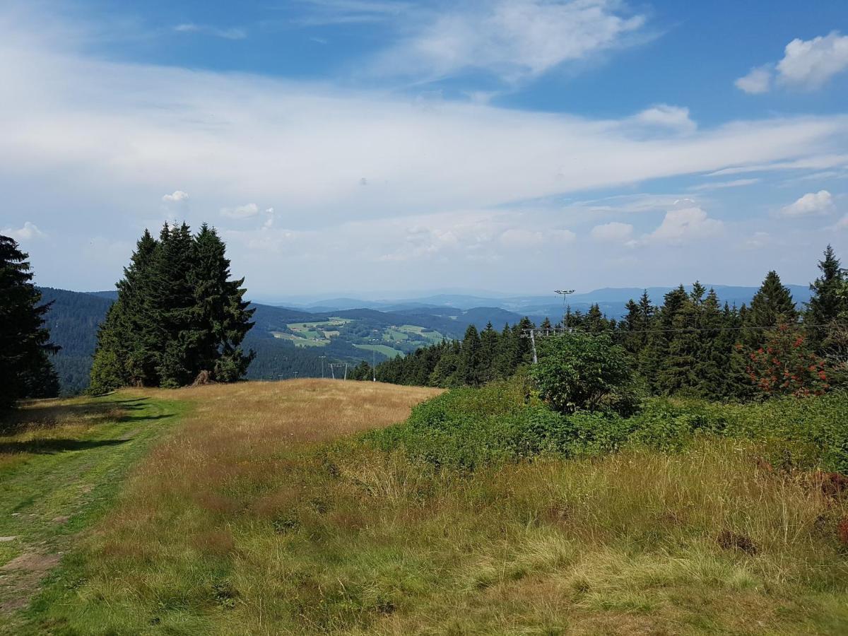 Traumurlaub Im Bayerische Wald Sankt Englmar