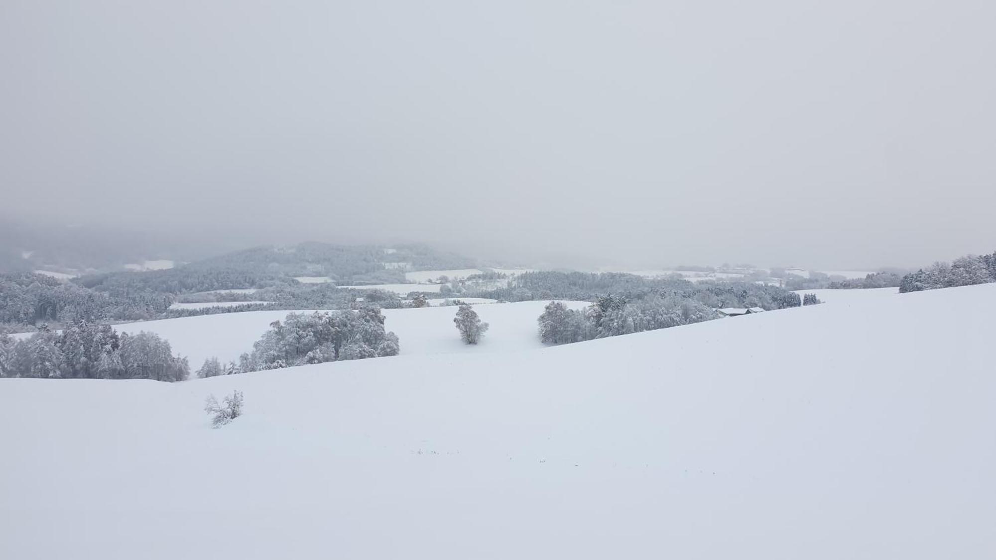 Traumurlaub Im Bayerische Wald Apartment *
