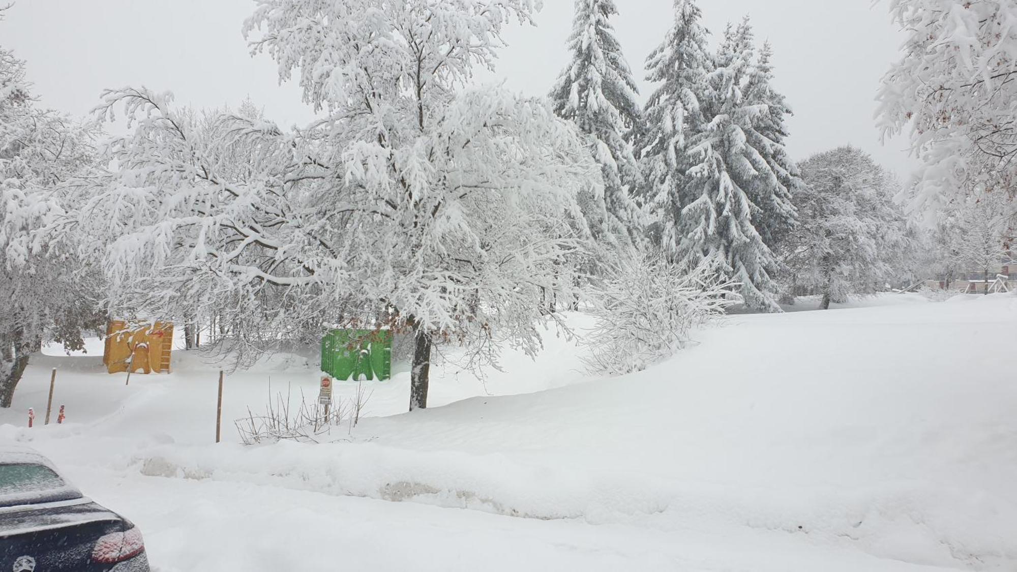 Traumurlaub Im Bayerische Wald Apartment Sankt Englmar